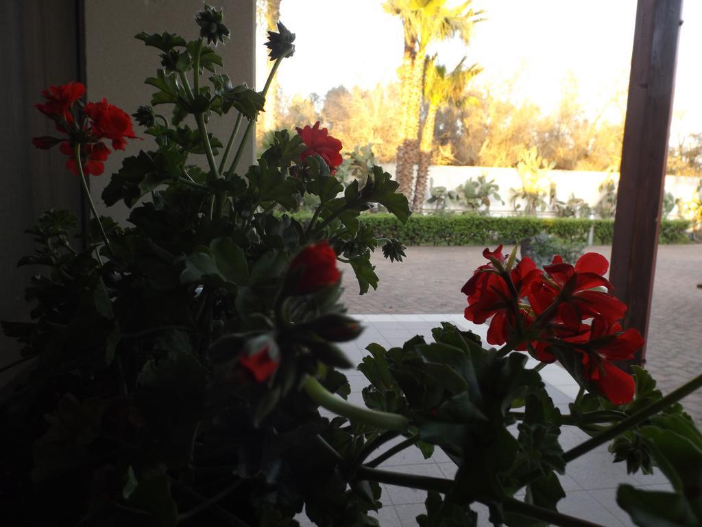 Villetta Del Salento Exclusive B&B ガリポリ エクステリア 写真